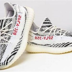 Yeezy 2019 Releases | Iconic Designs & Authentic Collection